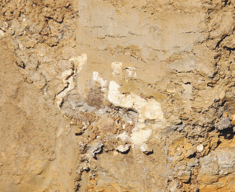 Limestone in the soil